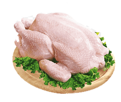 ayam1.png