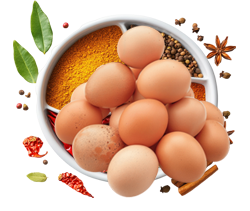 telur1.png